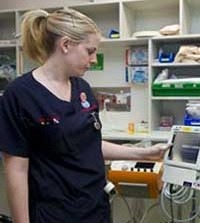 Nurse using medical equipment